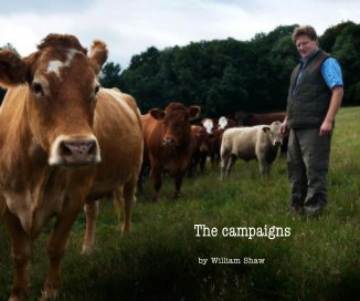 The campaigns book cover
