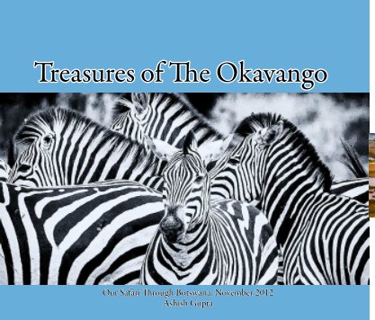 Treasures of The Okavango book cover