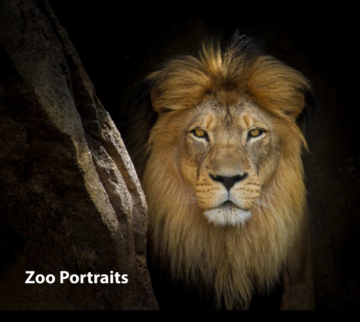View Zoo Portraits by Howard Weitzel