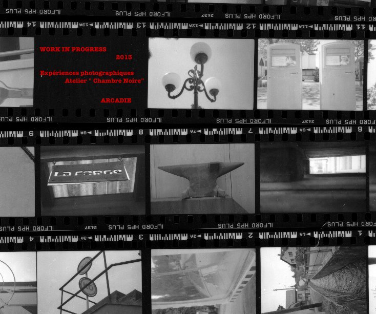 Ver WORK IN PROGRESS 2013 Expériences photographiques Atelier " Chambre Noire" ARCADIE por zolac