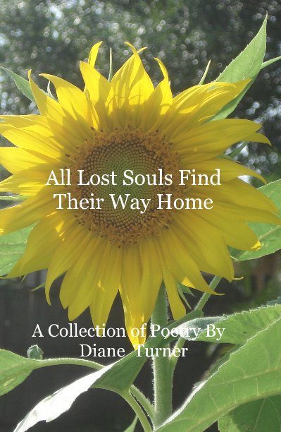 View All Lost Souls Find Their Way Home by A Collection of Poetry By Diane Turner