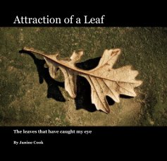 Attraction of a Leaf book cover