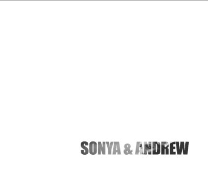 Son & Andy book cover