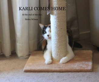 KARLI COMES HOME book cover
