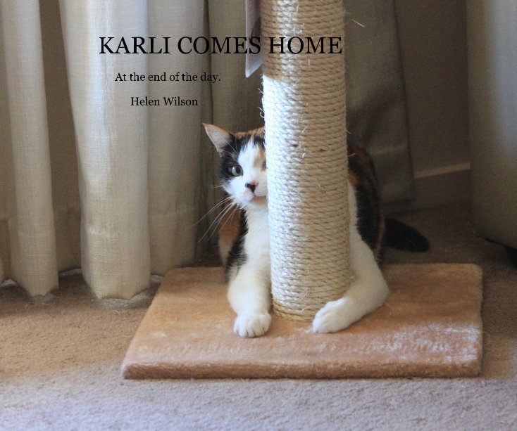 View KARLI COMES HOME by Helen Wilson
