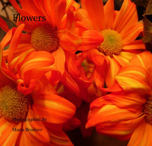 View Flowers by Marla Brudner