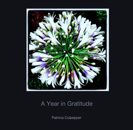 Ver A Year in Gratitude por Patricia Culpepper