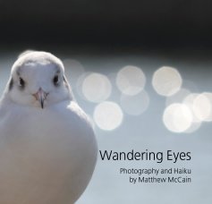 Wandering Eyes book cover