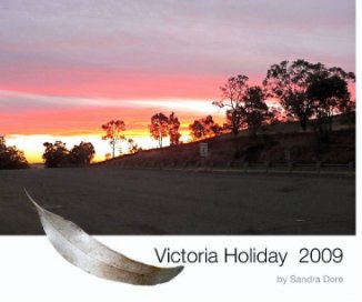 VICTORIA HOLIDAY book cover