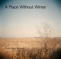 A Place Without Winter book cover