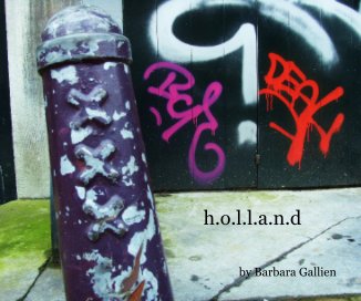 h.o.l.l.a.n.d book cover