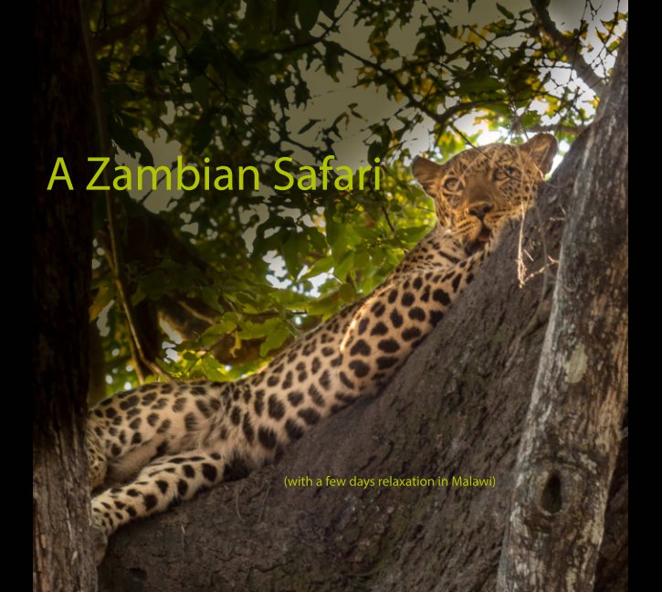 View A Zambian Safari by Tony Tarry