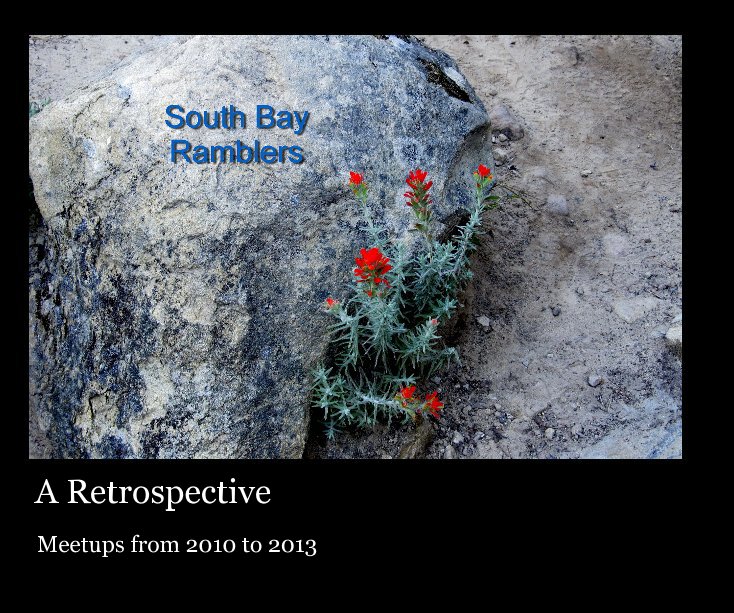 View A Retrospective by Glenn Nelson and Julia Fuerst