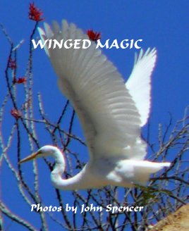 WINGED MAGIC book cover