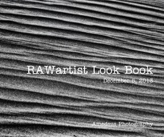 RAWartist Look Book December 5, 2013 book cover