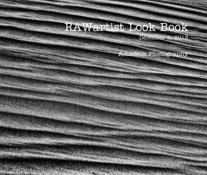 RAWartist Look Book December 5, 2013 book cover