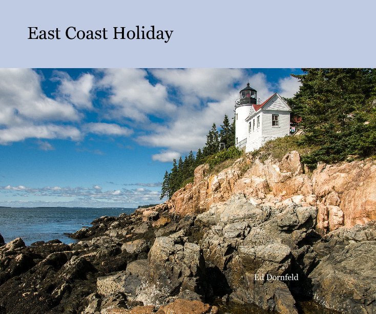 View East Coast Holiday by Ed Dornfeld