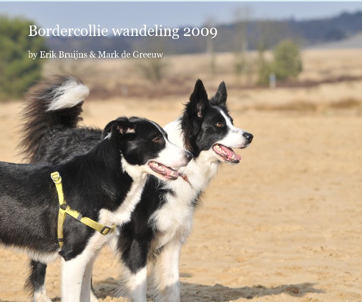 View Bordercollie wandeling 2009 by EBRUIJN