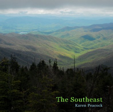 The Southeast book cover