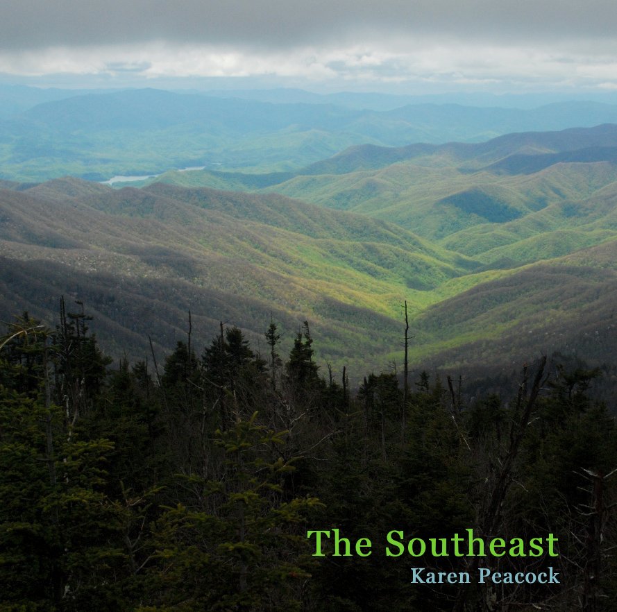 View The Southeast by Karen Peacock