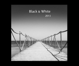 Black & White 2013 book cover
