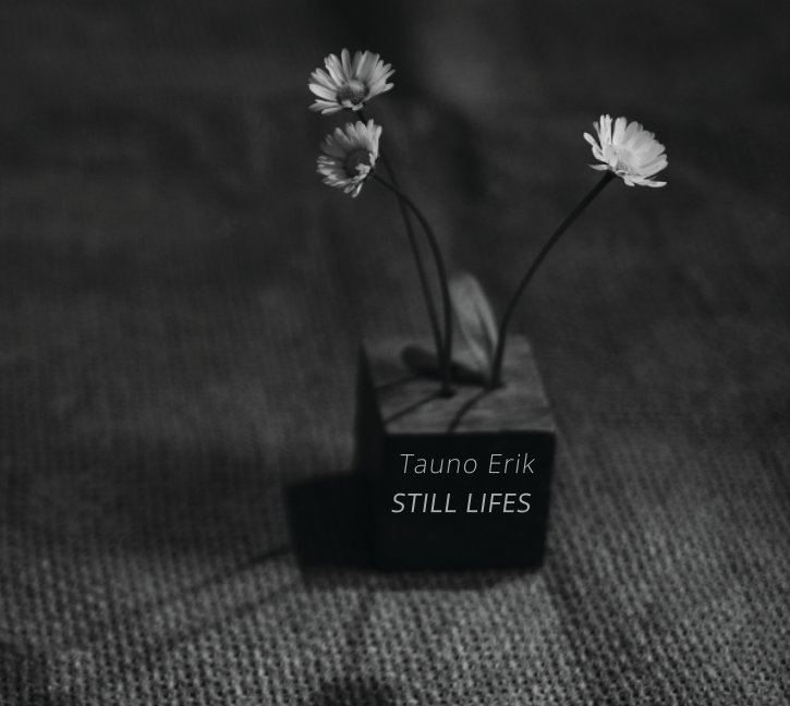 View Still Lifes by Tauno Erik
