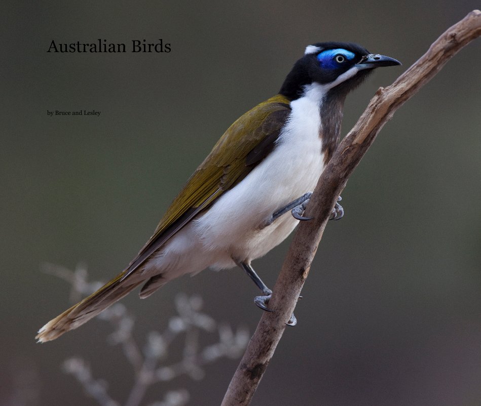 Ver Australian Birds por Bruce and Lesley