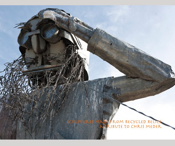 Visualizza Sculptures made from Recycled Relics a tribute to chris meder di Tracey Bransgrove