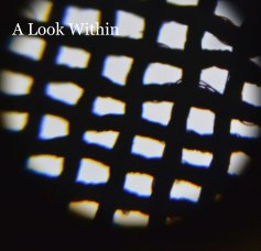 A Look Within book cover