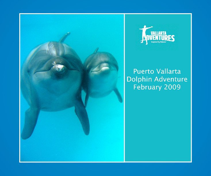 Puerto Vallarta Dolphin Adventure February 2009 nach vallarta anzeigen