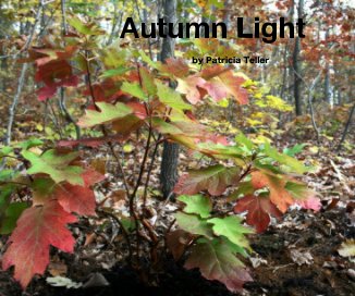 Autumn Light book cover