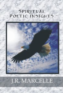 Spiritual Poetic Insights book cover