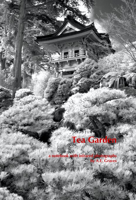 View Tea Garden by a notebook with infrared photographs by A.E. Graves