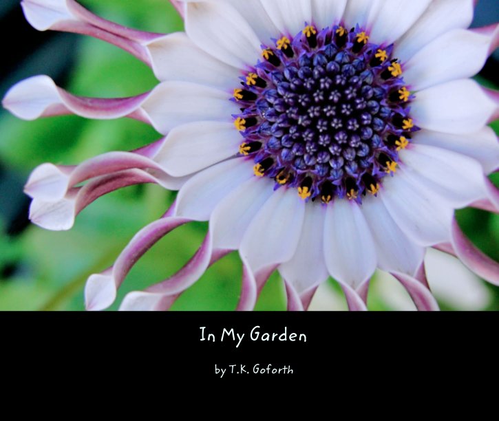 View In My Garden - 10x8 Coffee Table Book by T.K. Goforth