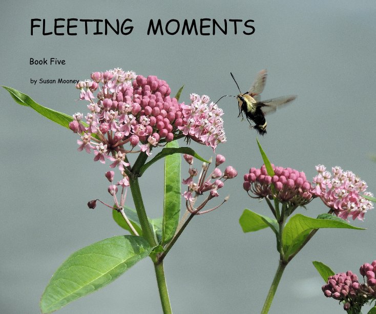Ver FLEETING MOMENTS por Susan Mooney