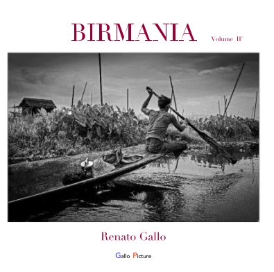BIRMANIA book cover