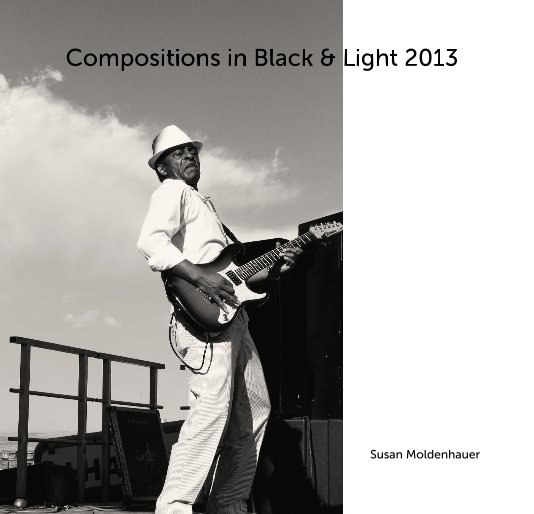 View Compositions in Black & Light 2013 by Susan Moldenhauer