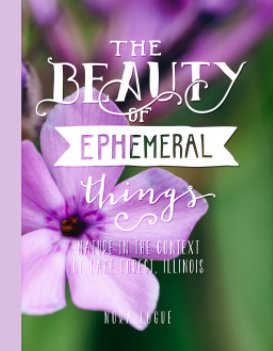 The Beauty of Ephemeral Things book cover