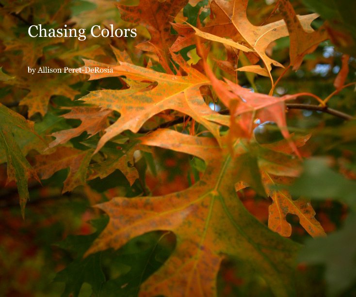 View Chasing Colors by Allison Peret-DeRosia