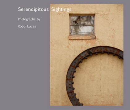 Serendipitous Sightings book cover