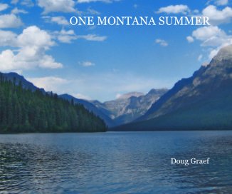ONE MONTANA SUMMER book cover