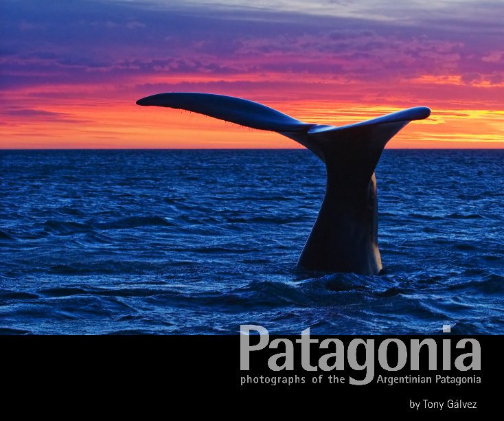 View Patagonia by Tony Gálvez