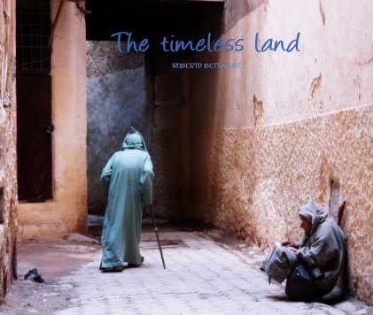 The timeless land book cover
