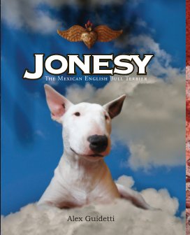 Jonesy book cover
