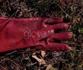 Glove book cover