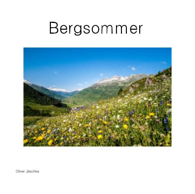 Bergsommer book cover