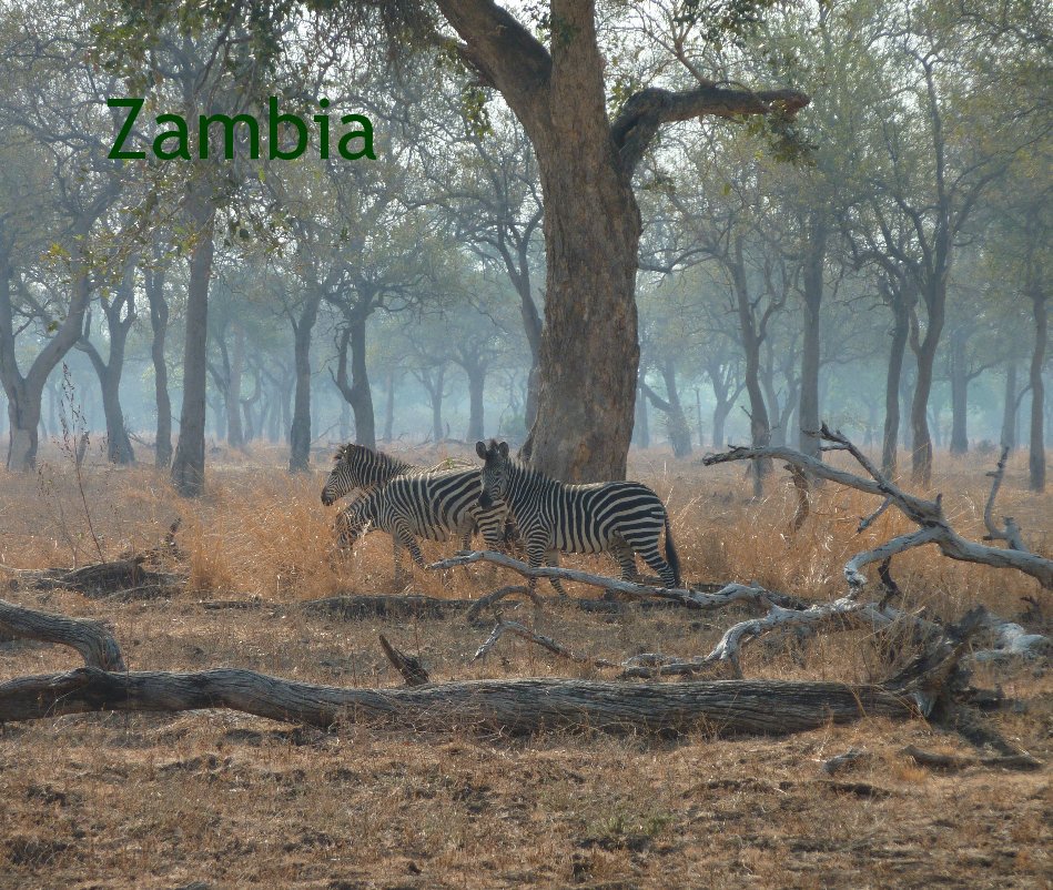 Ver Zambia por hunbille
