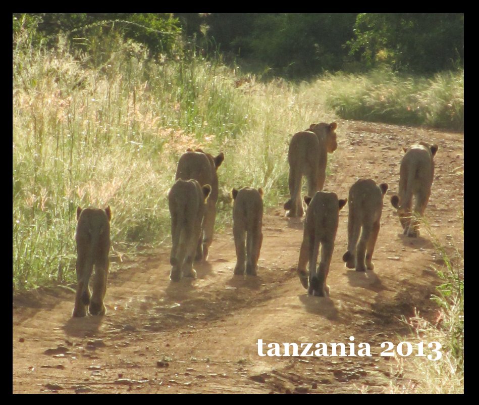 Visualizza tanzania 2013 di kasdal