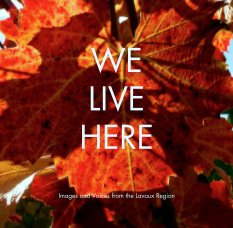 WE LIVE HERE book cover