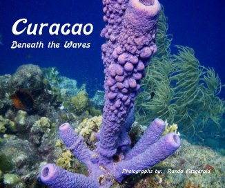 Curacao Beneath the Waves Photographs by: Randa Fitzgerald book cover